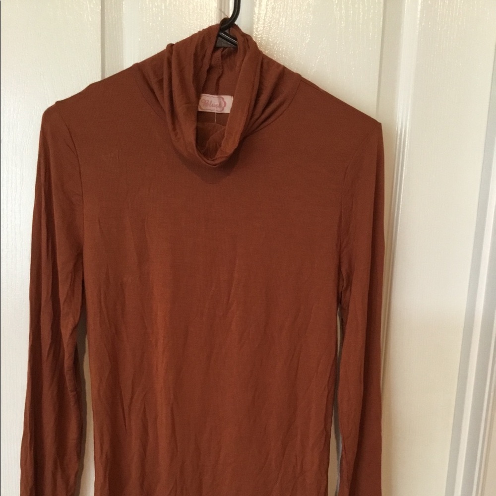 Blush Boutique Auburn Turtleneck